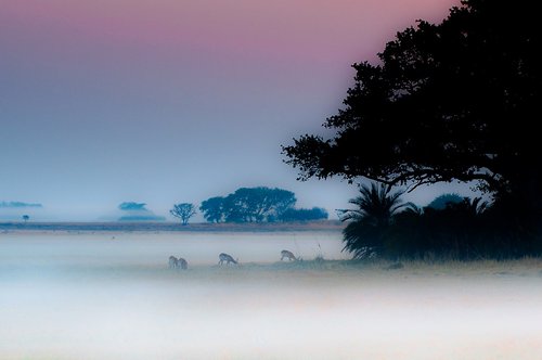 Kafue National Park