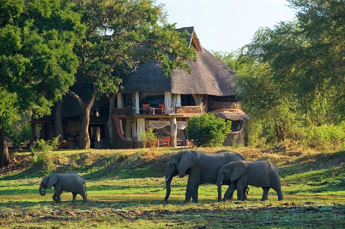 South Luangwa National Park