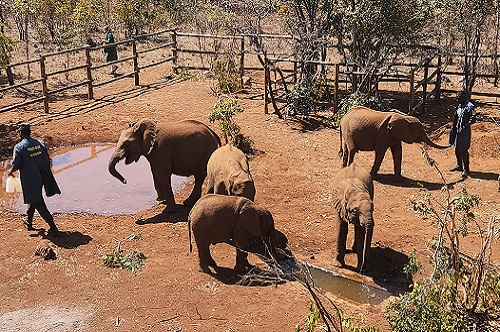 Lusaka National Park