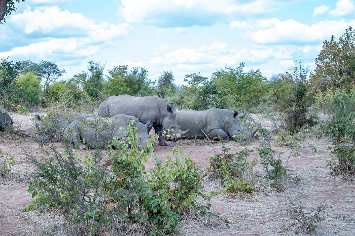 Mosi-Oa-Tunya National Park