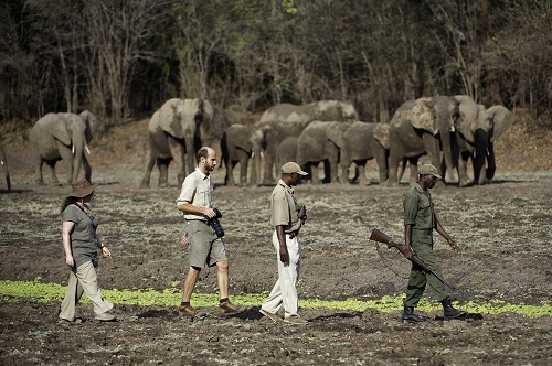 Walking Safaris Zambia