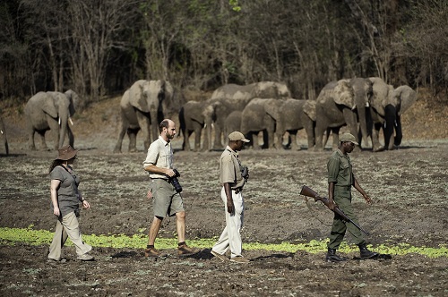 Mfuwe National Park