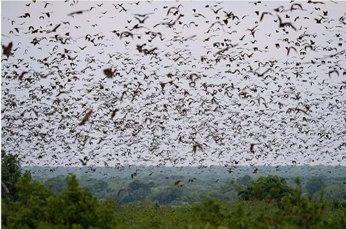 travel zambia